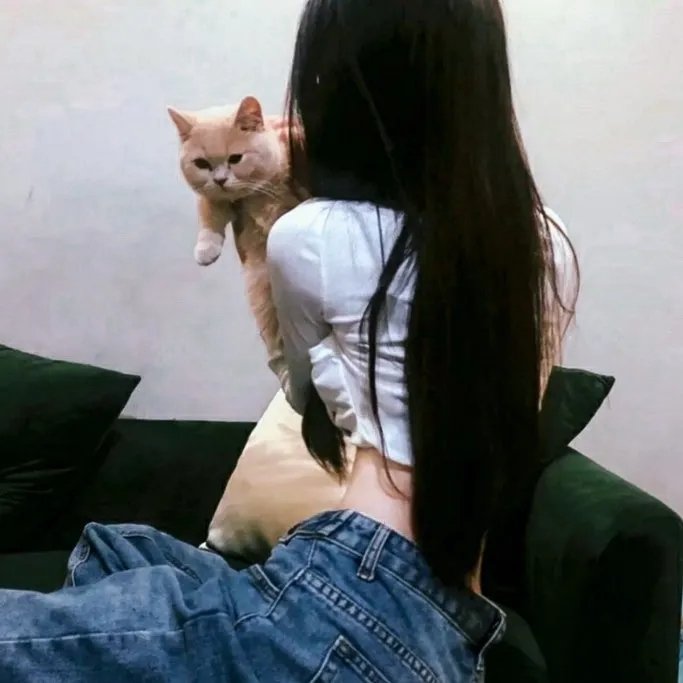 青春迷航